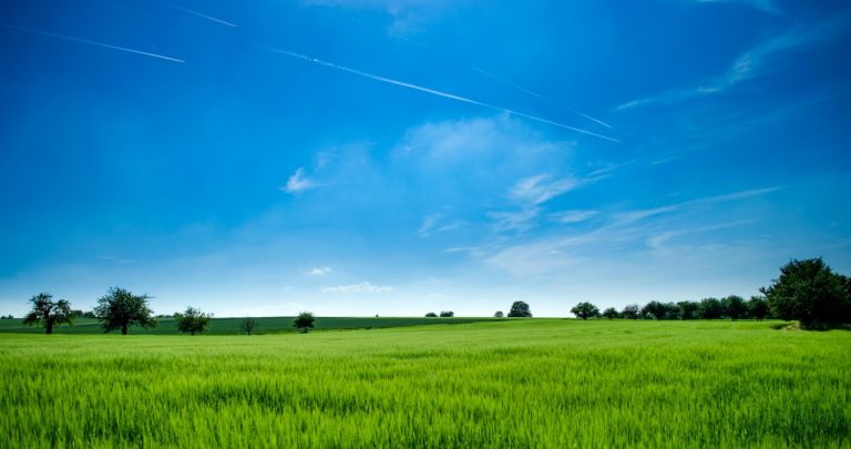 The Cooperative Difference in Action: Capital Credits Allocated to Members // July 2025 CEO Column