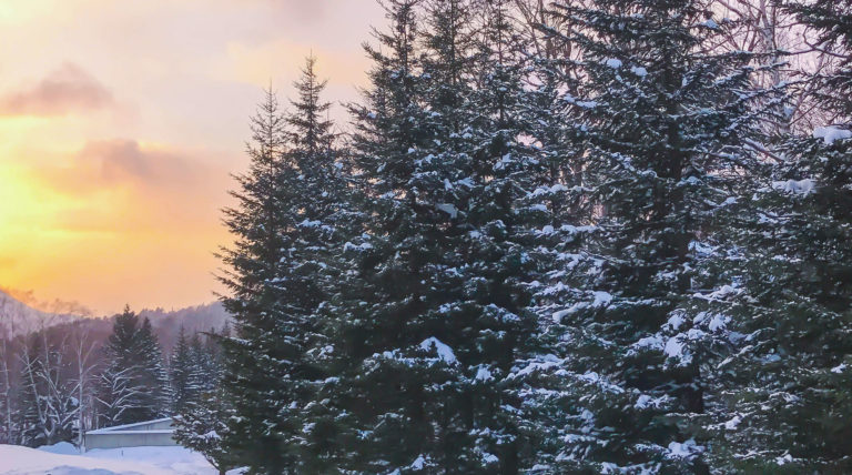 Planning for the Future: A Clear Roadmap for the Cooperative We Will Need Tomorrow // December 2025 CEO Column