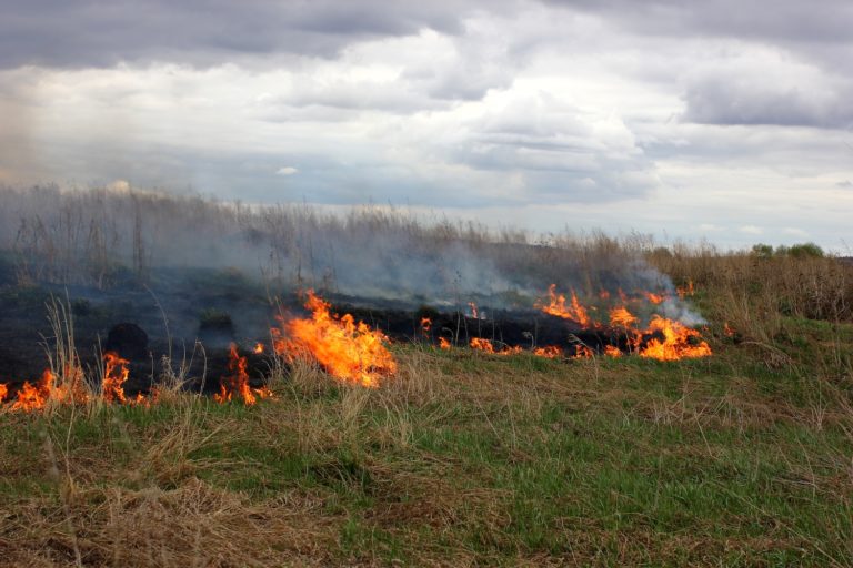Planning for What We Hope Never Happens: TWEC’s Wildfire Mitigation Policy